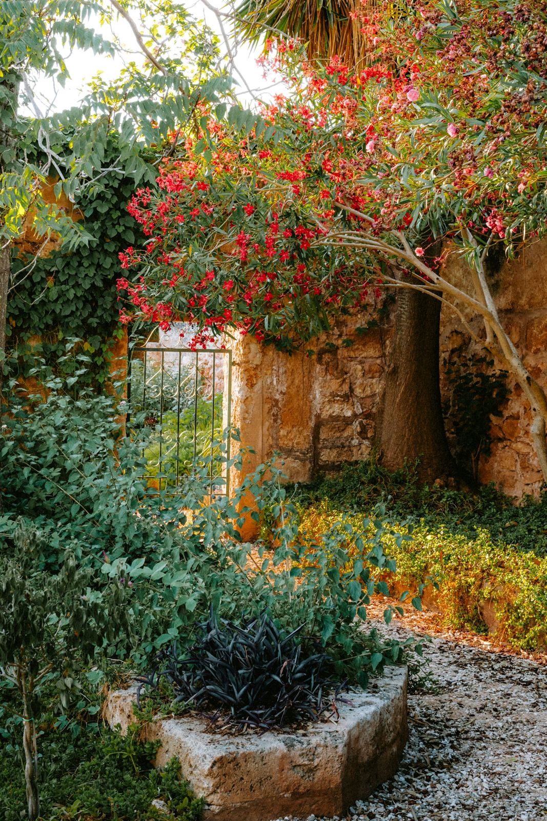 גינה מטופחת לאחר עבודות חוץ